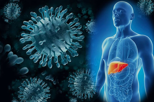 Tăng cường sàng lọc, chẩn đoán và điều trị viêm gan virus tại tuyến y tế cơ sở ở Việt Nam Tăng cường sàng lọc, chẩn đoán và điều trị viêm gan virus tại tuyến y tế cơ sở ở Việt Nam