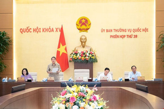 Không gộp tiền cấp quyền khai thác khoáng sản với thuế tài nguyên