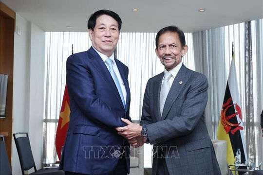 Chủ tịch nước Lương Cường hội kiến Quốc vương Brunei