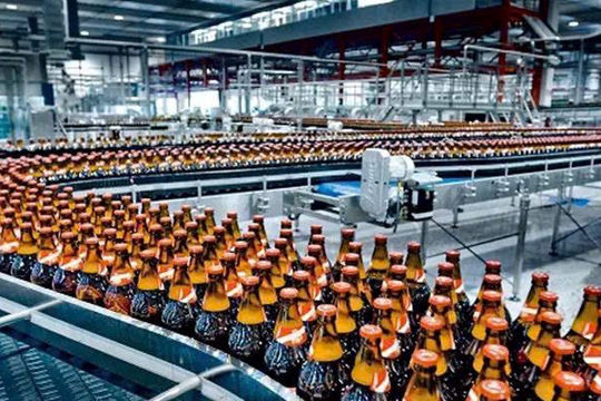 Tăng thuế tiêu thụ đặc biệt đối với ngành bia: Cần phương án hài hòa 