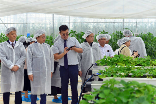 Hàn Quốc tài trợ gần 2,9 triệu USD cho dự án chuỗi giá trị nông sản an toàn 