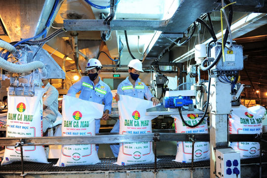 Cà Mau: nhiều khoản thu ngân sách đạt và vượt dự toán  Cà Mau: nhiều khoản thu ngân sách đạt và vượt dự toán