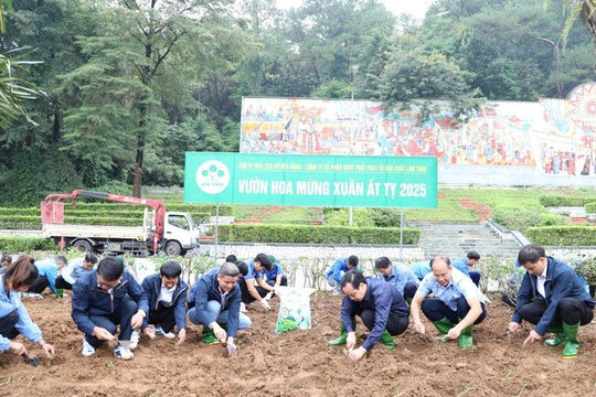 Supe Lâm Thao phát động trồng 10.000m2 hoa hướng dương tại Khu Di tích lịch sử Đền Hùng Supe Lâm Thao phát động trồng 10.000m2 hoa hướng dương tại Khu Di tích lịch sử Đền Hùng