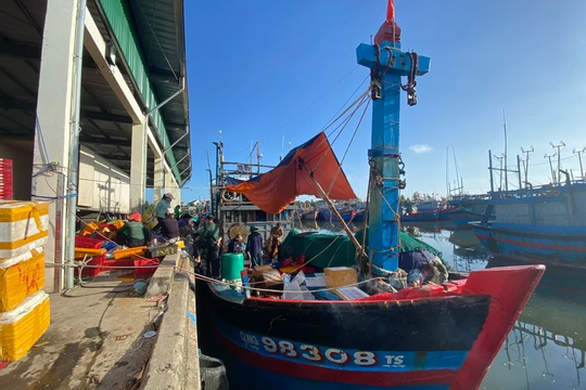 Quảng Ngãi: Đẩy nhanh tiến độ Dự án cảng cá Tịnh Hòa 