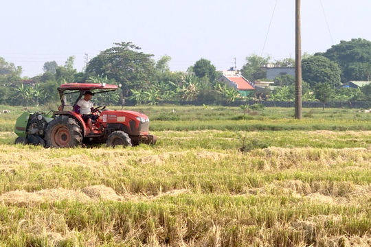 Thái Bình: Sử dụng hiệu quả phế phụ phẩm nông nghiệp trong sản xuất