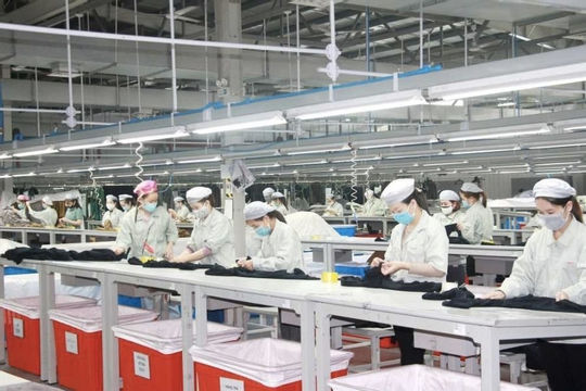 96,2 nghìn doanh nghiệp tạm ngừng kinh doanh