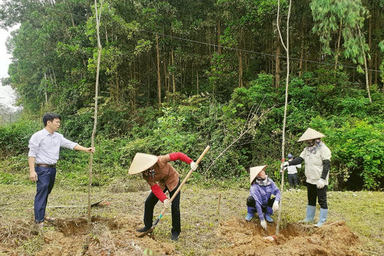 Cả nước thiệt hại 1.585,9 ha rừng