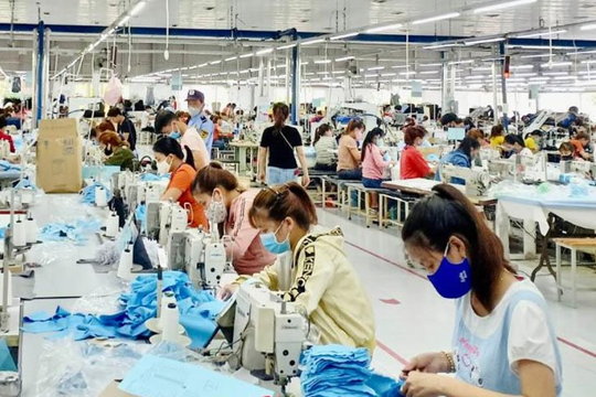 Quảng Ngãi đạt và vượt kế hoạch 25/25 chỉ tiêu kinh tế - xã hội