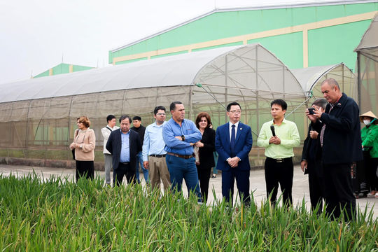 Cuba tìm hiểu cơ hội hợp tác sản xuất nông nghiệp ở Thái Bình Cuba tìm hiểu cơ hội hợp tác sản xuất nông nghiệp ở Thái Bình