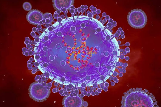 Bộ Y tế thông tin về bệnh do virus gây viêm phổi trên người tại Trung Quốc Bộ Y tế thông tin về bệnh do virus gây viêm phổi trên người tại Trung Quốc