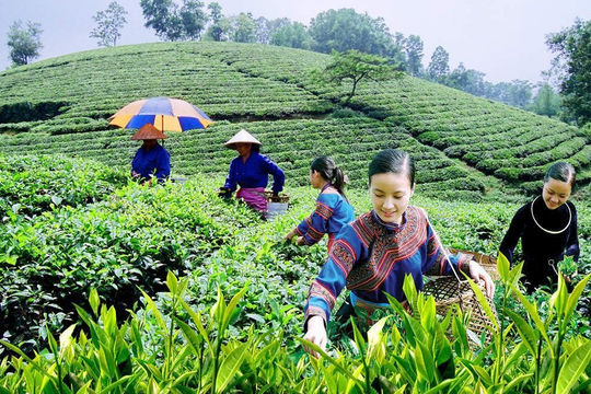 Thu nhập và đời sống của các hộ dân cư được cải thiện  Thu nhập và đời sống của các hộ dân cư được cải thiện