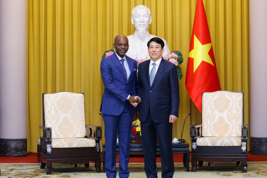 Chủ tịch nước Lương Cường tiếp Bộ trưởng Ngoại giao Togo