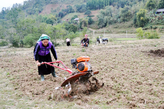 Hà Giang: Giá trị sản xuất nông, lâm nghiệp và thủy sản năm 2024 ước đạt gần 17 nghìn tỷ đồng Hà Giang: Giá trị sản xuất nông, lâm nghiệp và thủy sản năm 2024 ước đạt gần 17 nghìn tỷ đồng