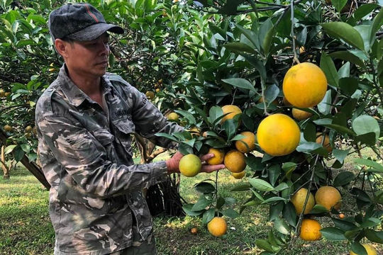 Tạo điều kiện cho nông dân tiếp cận vốn vay phát triển sản xuẩt kinh doanh Tạo điều kiện cho nông dân tiếp cận vốn vay phát triển sản xuẩt kinh doanh