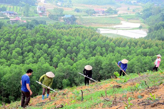 Hoàn thiện chính sách tạo sinh kế phù hợp với vùng dân tộc thiểu số và miền núi Hoàn thiện chính sách tạo sinh kế phù hợp với vùng dân tộc thiểu số và miền núi