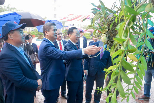 Ngập tràn sắc xuân tại Lễ hội hoa - Sinh vật cảnh Supe Lâm Thao 