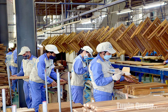 Tuyên Quang đặt mục tiêu tăng trưởng GRDP 9,01%  Tuyên Quang đặt mục tiêu tăng trưởng GRDP 9,01%