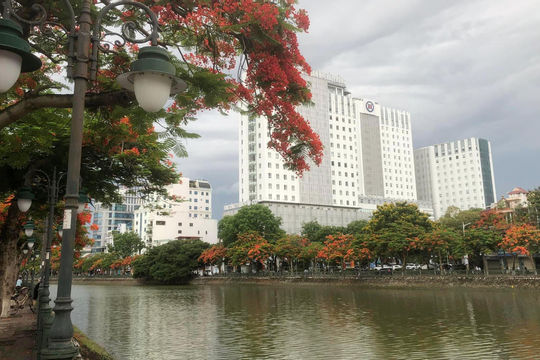 Hải Phòng: Giảm các cơ quan, đơn vị, đầu mối vượt chỉ tiêu từ 15% đến 20% Hải Phòng: Giảm các cơ quan, đơn vị, đầu mối vượt chỉ tiêu từ 15% đến 20%