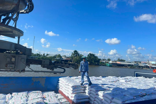 Thị trường phân bón ghi nhận nhiều tín hiệu khởi sắc 