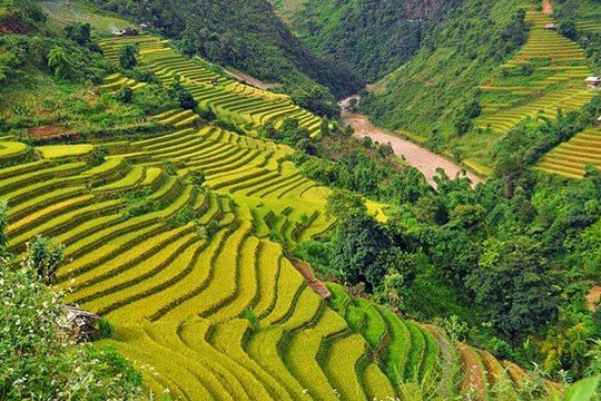 Thúc đẩy triển khai 8 nội dung quan trọng của tỉnh Điện Biên Thúc đẩy triển khai 8 nội dung quan trọng của tỉnh Điện Biên