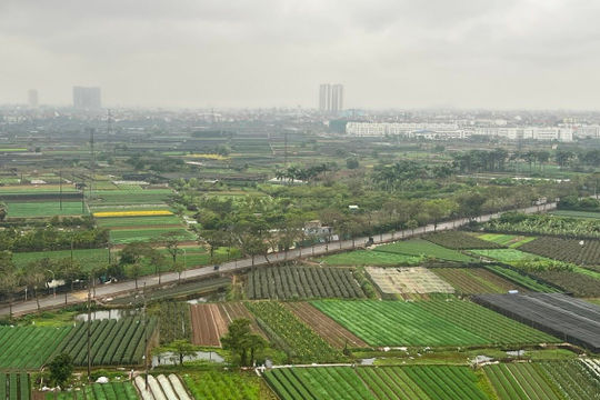 Miền Bắc rét đậm trên diện rộng vào đêm 23/02, có nơi dưới 7 độ C