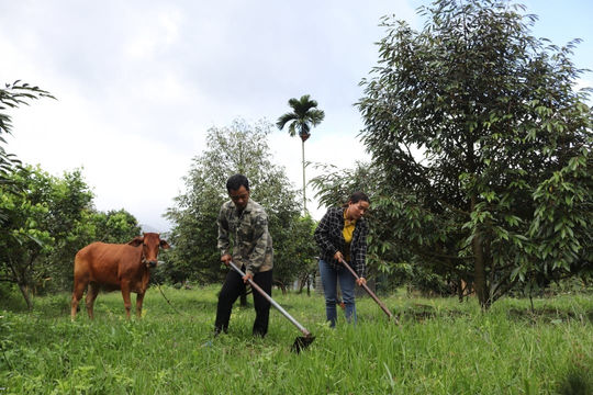 Công nhận 2 huyện thoát nghèo, 2 xã thoát khỏi tình trạng đặc biệt khó khăn