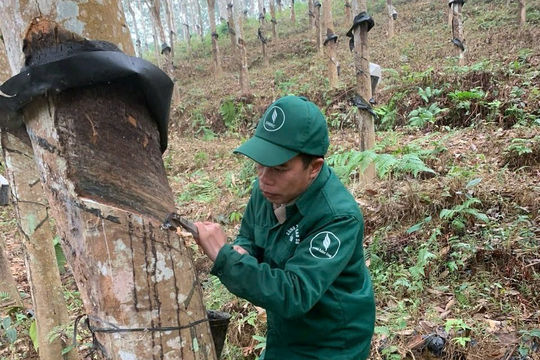 Người đảng viên, công nhân có "Bàn tay vàng" trong lao động, sản xuất