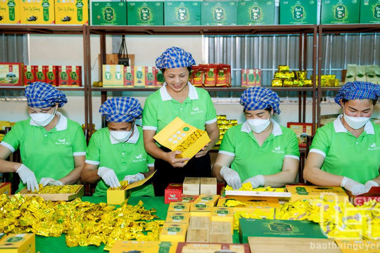 Thái Nguyên: Nâng cao giá trị sản xuất công nghiệp, tiểu thủ công nghiệp Thái Nguyên: Nâng cao giá trị sản xuất công nghiệp, tiểu thủ công nghiệp