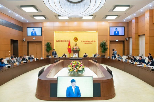 Không để xảy ra tình trạng lợi dụng chính sách để trốn thuế