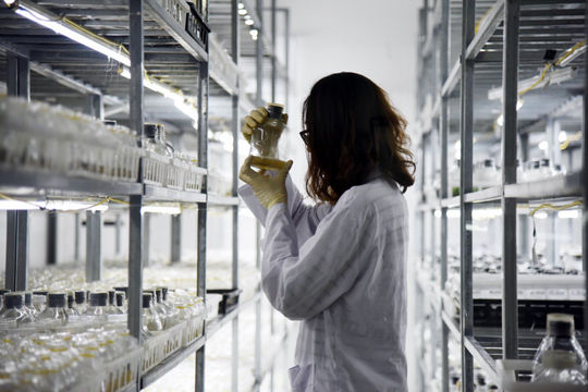 Kiểm toán kinh phí đầu tư cho khoa học công nghệ: Phát hiện nguy cơ lãng phí ngân sách nhà nước