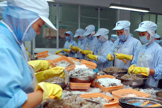 Xuất khẩu chưa tương xứng tiềm năng, ngành hàng tỷ đô tìm giải pháp đột phá