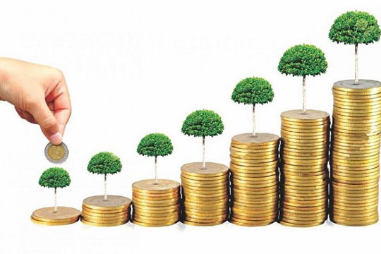 Năm 2025, nên “bỏ trứng” vào “giỏ” nào?