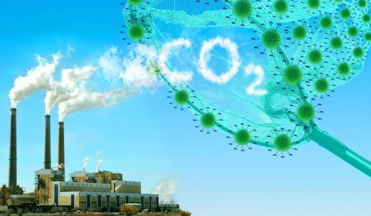 Chủ động ứng phó với biến đổi khí hậu và bảo vệ môi trường