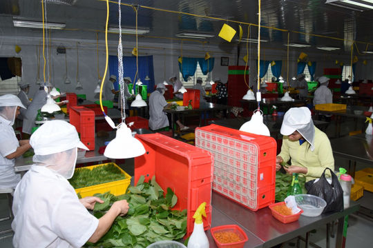 Chìa khóa nâng cao giá trị nông sản