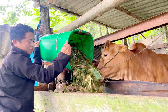 Hà Giang: Thực hiện công tác giảm nghèo đa chiều vượt chỉ tiêu Trung ương giao