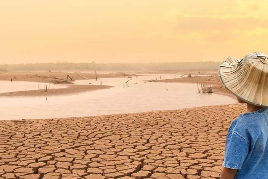 Tòa Thẩm kế Brazil đưa ra sáng kiến cải thiện chính sách công về môi trường và khí hậu Tòa Thẩm kế Brazil đưa ra sáng kiến cải thiện chính sách công về môi trường và khí hậu