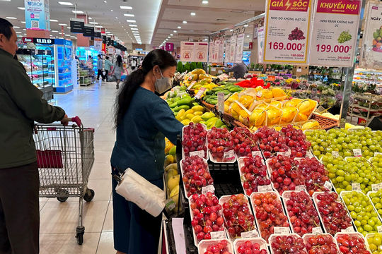 Triển khai loạt các giải pháp phát triển thị trường trong nước  Triển khai loạt các giải pháp phát triển thị trường trong nước