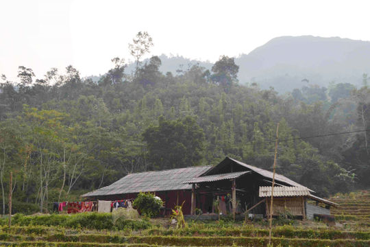 Xóa nhà tạm, tạo sinh kế cho người nghèo Xóa nhà tạm, tạo sinh kế cho người nghèo