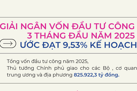 Infographics: Giải ngân gần 79.000 tỷ đồng vốn đầu tư công trong 3 tháng đầu năm