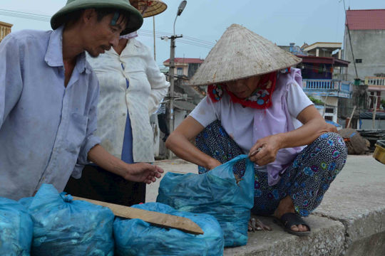 Năm 2024, tỷ lệ hộ nghèo của tỉnh Thanh Hóa giảm 1,40% Năm 2024, tỷ lệ hộ nghèo của tỉnh Thanh Hóa giảm 1,40%