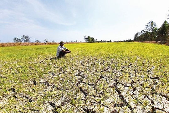 Giảm tổn thương về kinh tế trước các cú sốc khí hậu Giảm tổn thương về kinh tế trước các cú sốc khí hậu