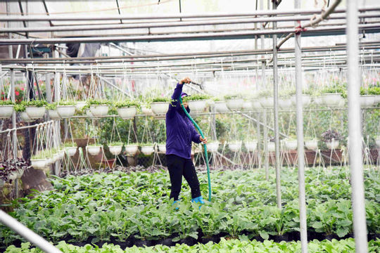 Hợp tác xã công nghệ cao cũng mỏi mòn… chờ vốn