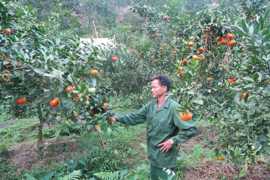 Bắc Kạn: Giảm nghèo bền vững góp phần thúc đẩy phát triển kinh tế, xã hội địa phương Bắc Kạn: Giảm nghèo bền vững góp phần thúc đẩy phát triển kinh tế, xã hội địa phương