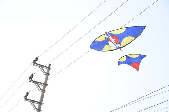 EVNHANOI khuyến cáo an toàn hàng lang lưới điện  EVNHANOI khuyến cáo an toàn hàng lang lưới điện