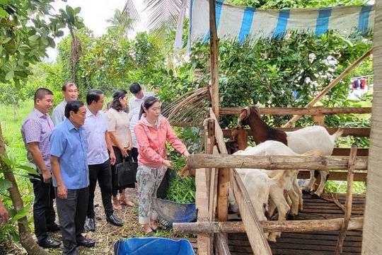 Hậu Giang phấn đấu giảm hộ nghèo từ 0,74% trở lên trong năm 2025 Hậu Giang phấn đấu giảm hộ nghèo từ 0,74% trở lên trong năm 2025