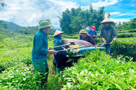 Kiểm toán các chương trình mục tiêu quốc gia: Tập trung đánh giá và tư vấn về cơ chế, chính sách
