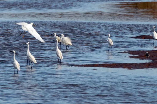 Nam Định: Thúc đẩy phát triển du lịch theo hướng tăng trưởng xanh