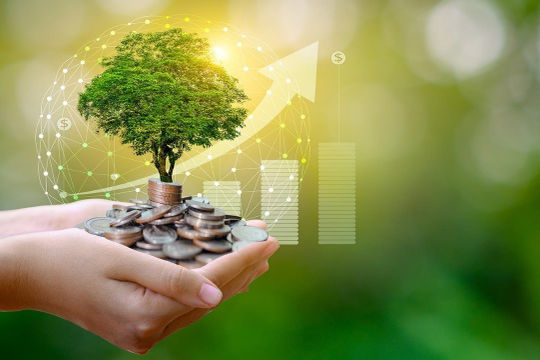 Tín dụng xanh trông đợi khung pháp lý toàn diện Tín dụng xanh trông đợi khung pháp lý toàn diện