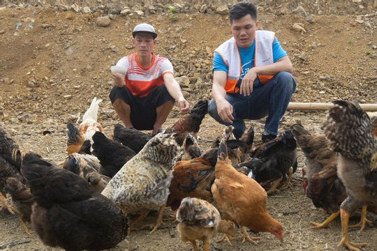 Hỗ trợ người dân có sinh kế bền vững Hỗ trợ người dân có sinh kế bền vững