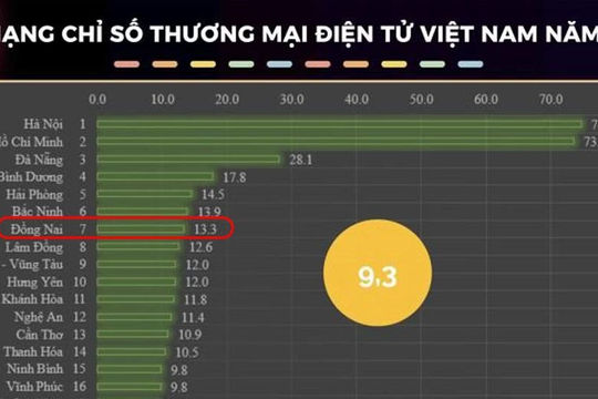 Đồng Nai phát triển thương mại điện tử, mở rộng cánh cửa xuất khẩu Đồng Nai phát triển thương mại điện tử, mở rộng cánh cửa xuất khẩu
